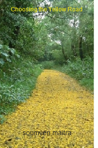 Choosing the Yellow Road