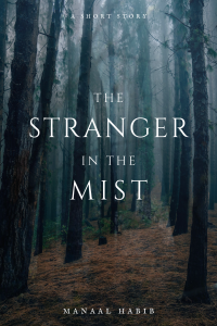 The Stranger in the Mist