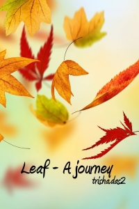 Leaf - A journey