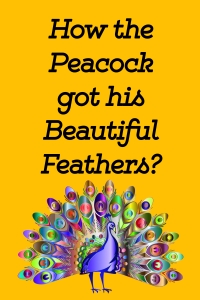 How the Peacock got his Beautiful Feathers?