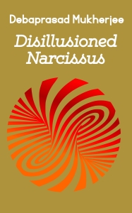 Disillusioned Narcissus