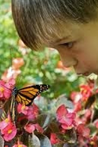 The Child and the Butterfly