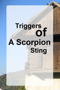 Triggers Of A Scorpion Sting